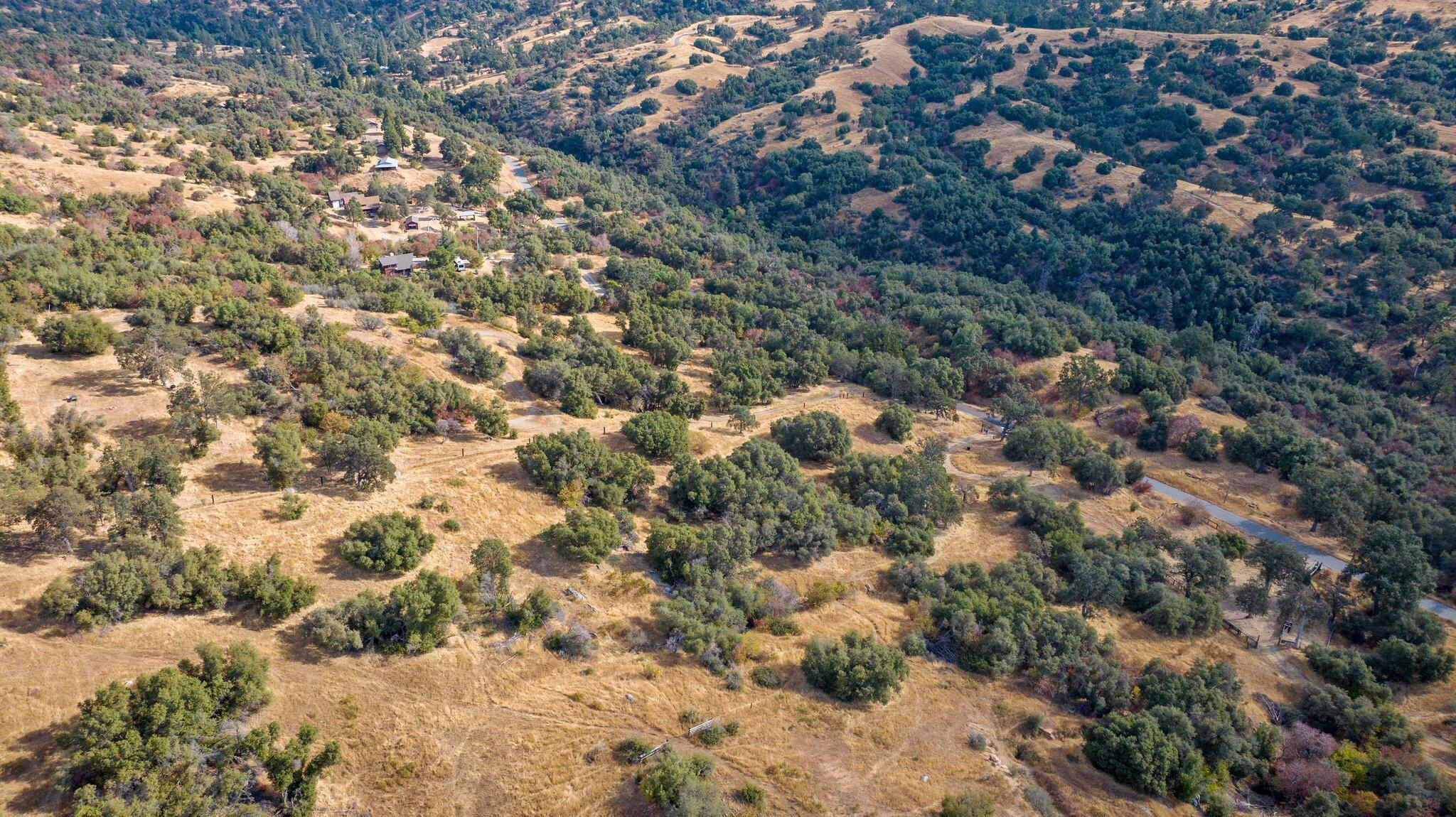 0 Whitaker Forest Road Badger, CA 93603 - Photo 13 of 13 5-web-or-mls-DJI_20241007093840_0421_D