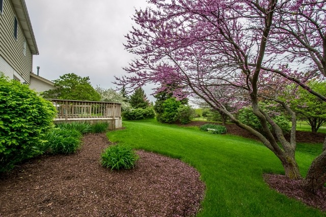 2811 Turnberry Road St. Charles, IL 60174 - Photo 3 of 24