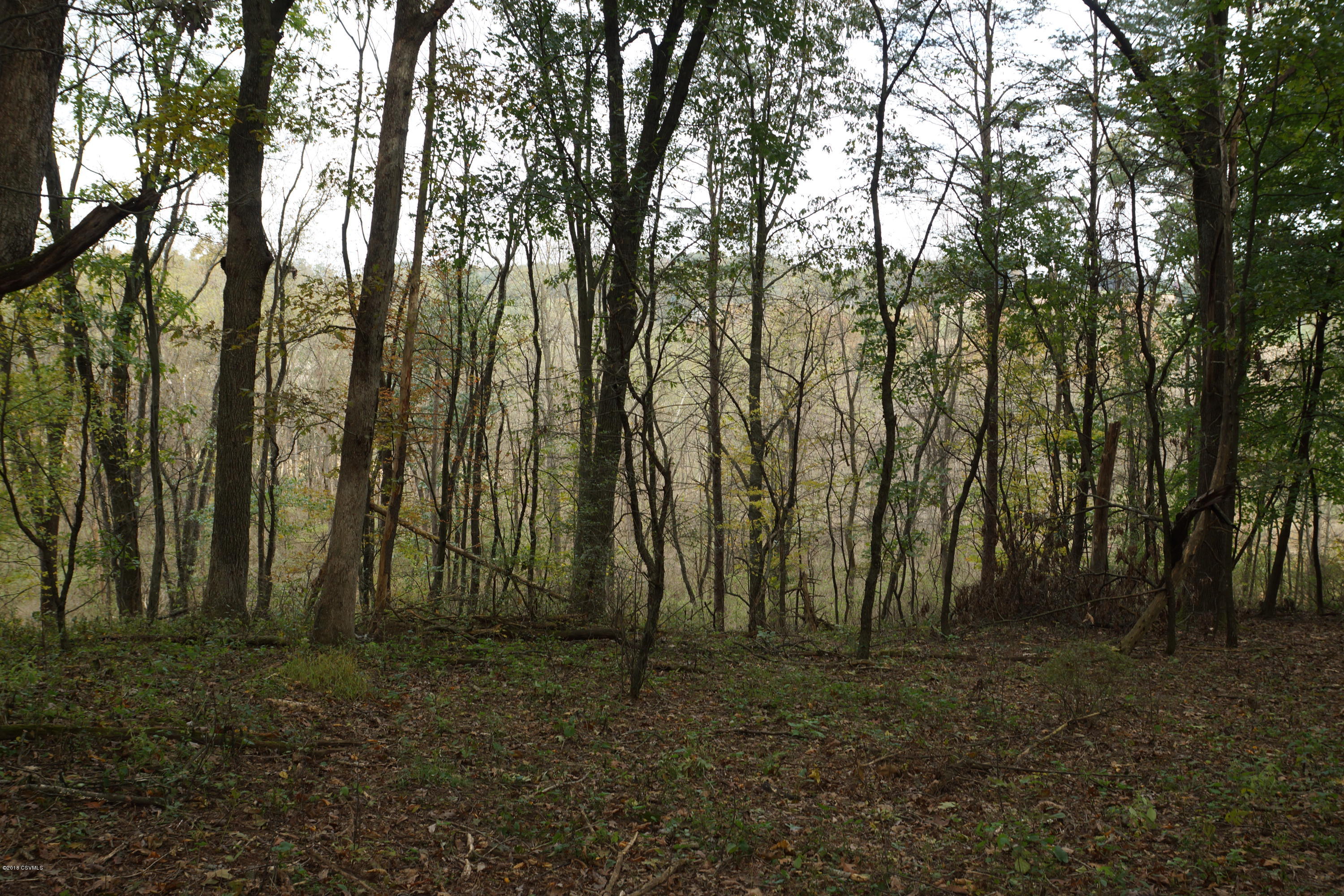 Lot 4 Milroy Road New Columbia, PA 17856 - Photo 24 of 27