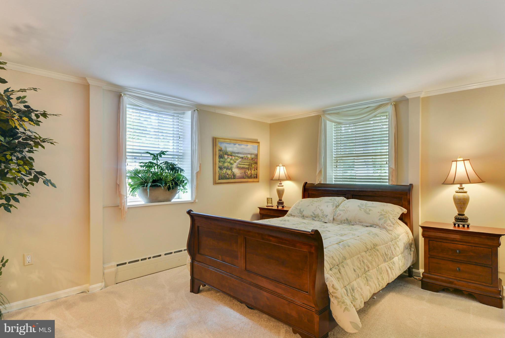 18294 Blue Ridge Mountain Road Bluemont, VA 20135 - Photo 14 of 30 Lower Level Bedroom 1