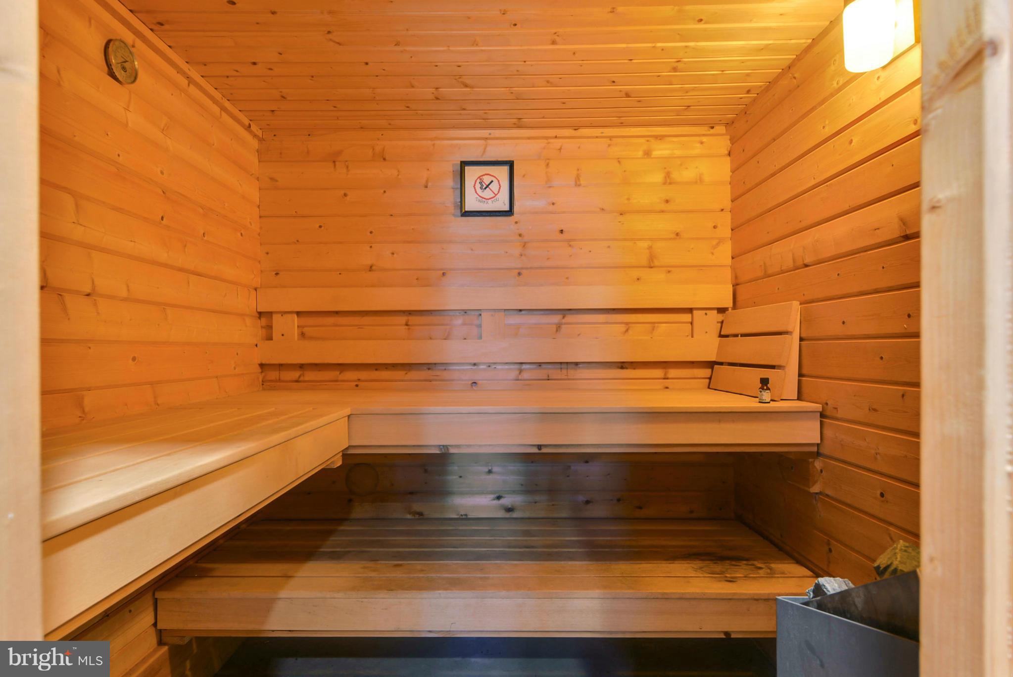 18294 Blue Ridge Mountain Road Bluemont, VA 20135 - Photo 16 of 30 Sauna