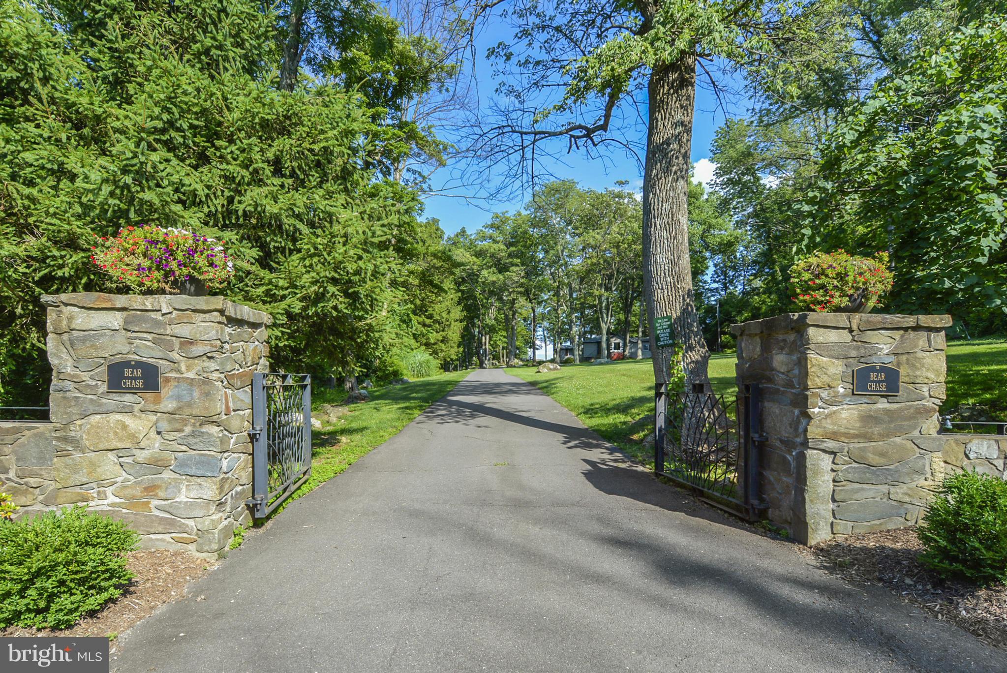 18294 Blue Ridge Mountain Road Bluemont, VA 20135 - Photo 26 of 30 Driveway