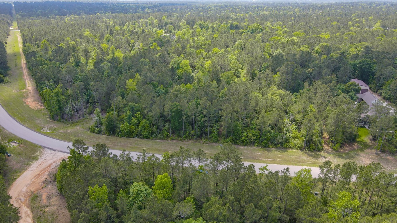10774 Ruger Road Willis, TX 77378 - Photo 12 of 33 a view of a forest with a yard