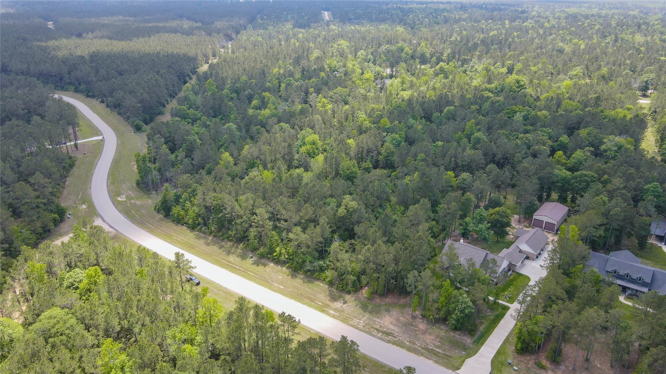 10774 Ruger Road Willis, TX 77378 - Photo 13 of 33 a view of a yard from a balcony