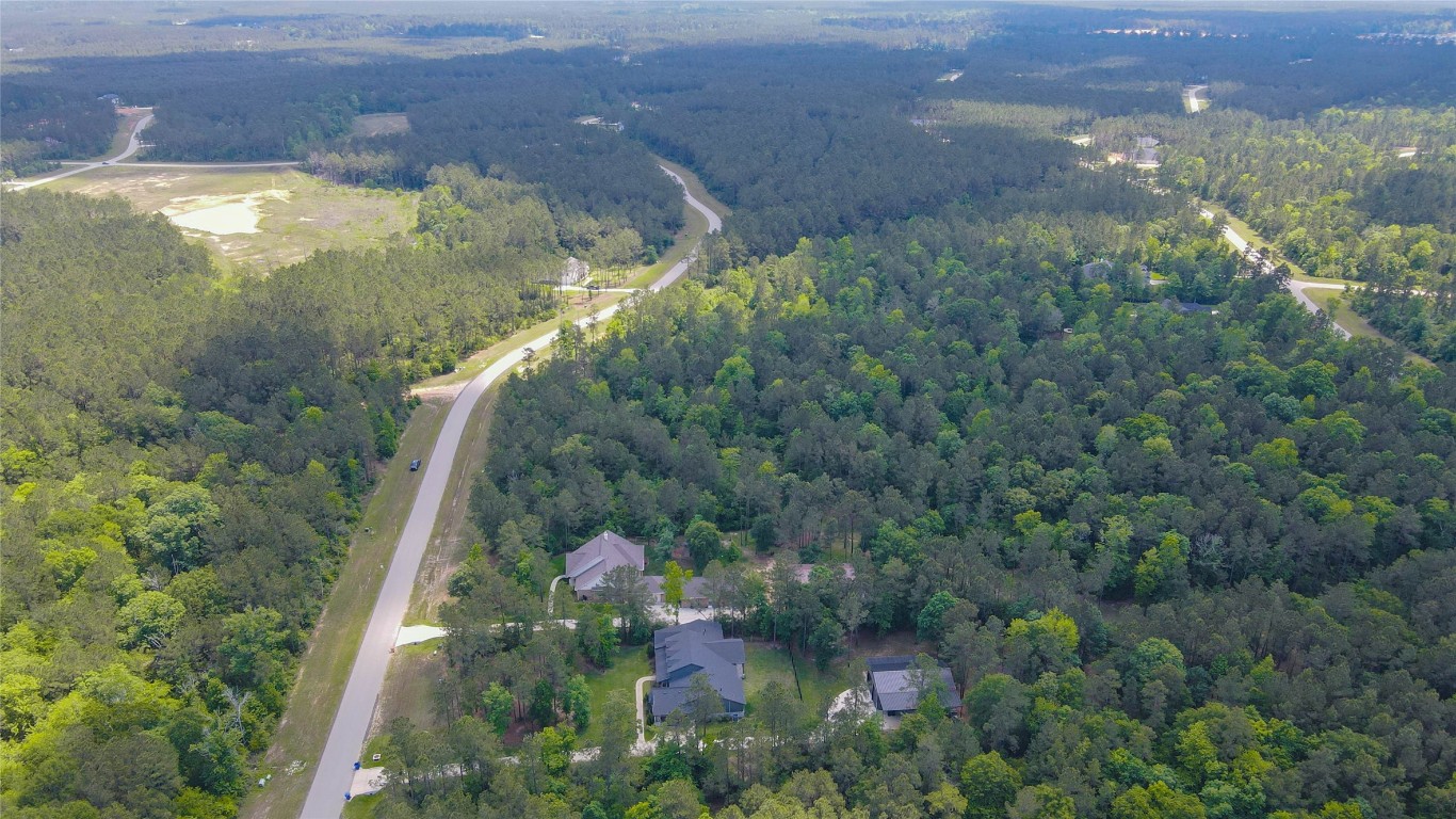 10774 Ruger Road Willis, TX 77378 - Photo 16 of 33 a view of a yard