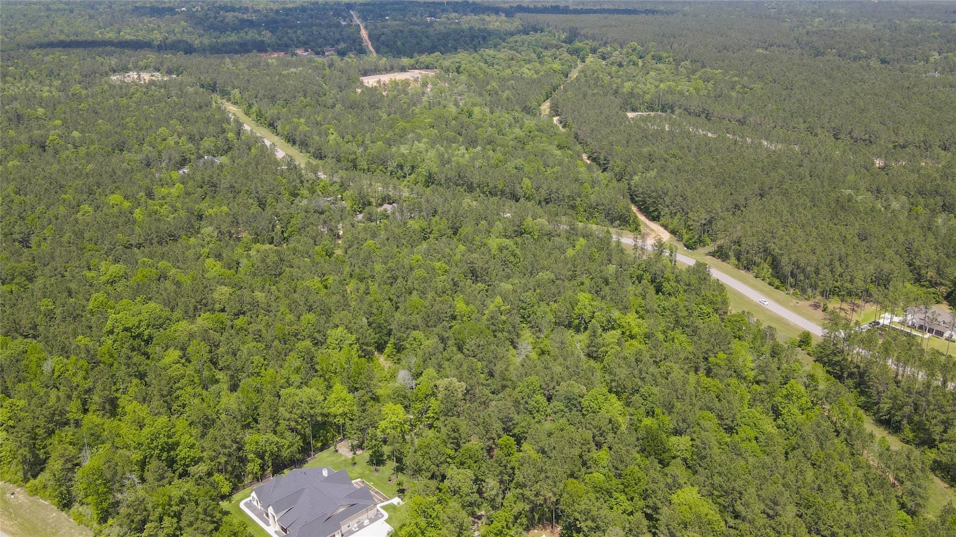10774 Ruger Road Willis, TX 77378 - Photo 18 of 33
