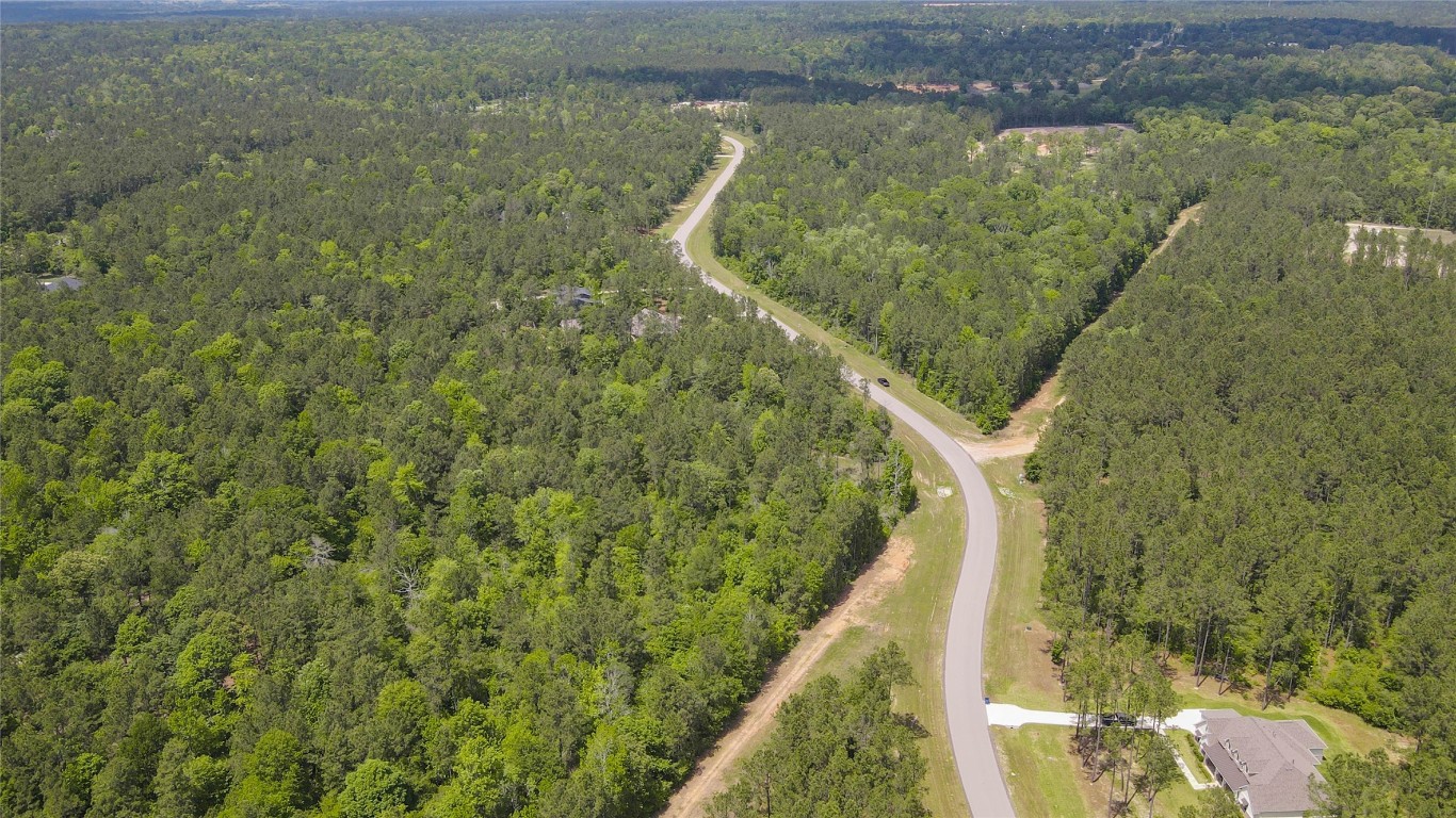 10774 Ruger Road Willis, TX 77378 - Photo 20 of 33 a view of a lake from a balcony