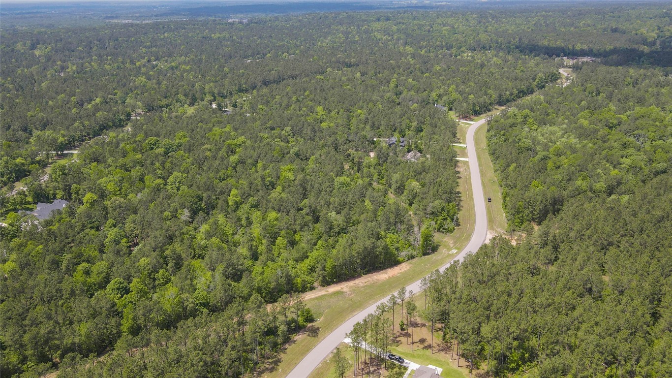10774 Ruger Road Willis, TX 77378 - Photo 21 of 33 a view of a forest from a yard