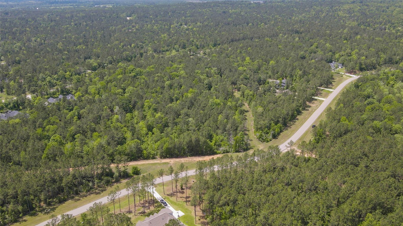 10774 Ruger Road Willis, TX 77378 - Photo 22 of 33 a view of a yard