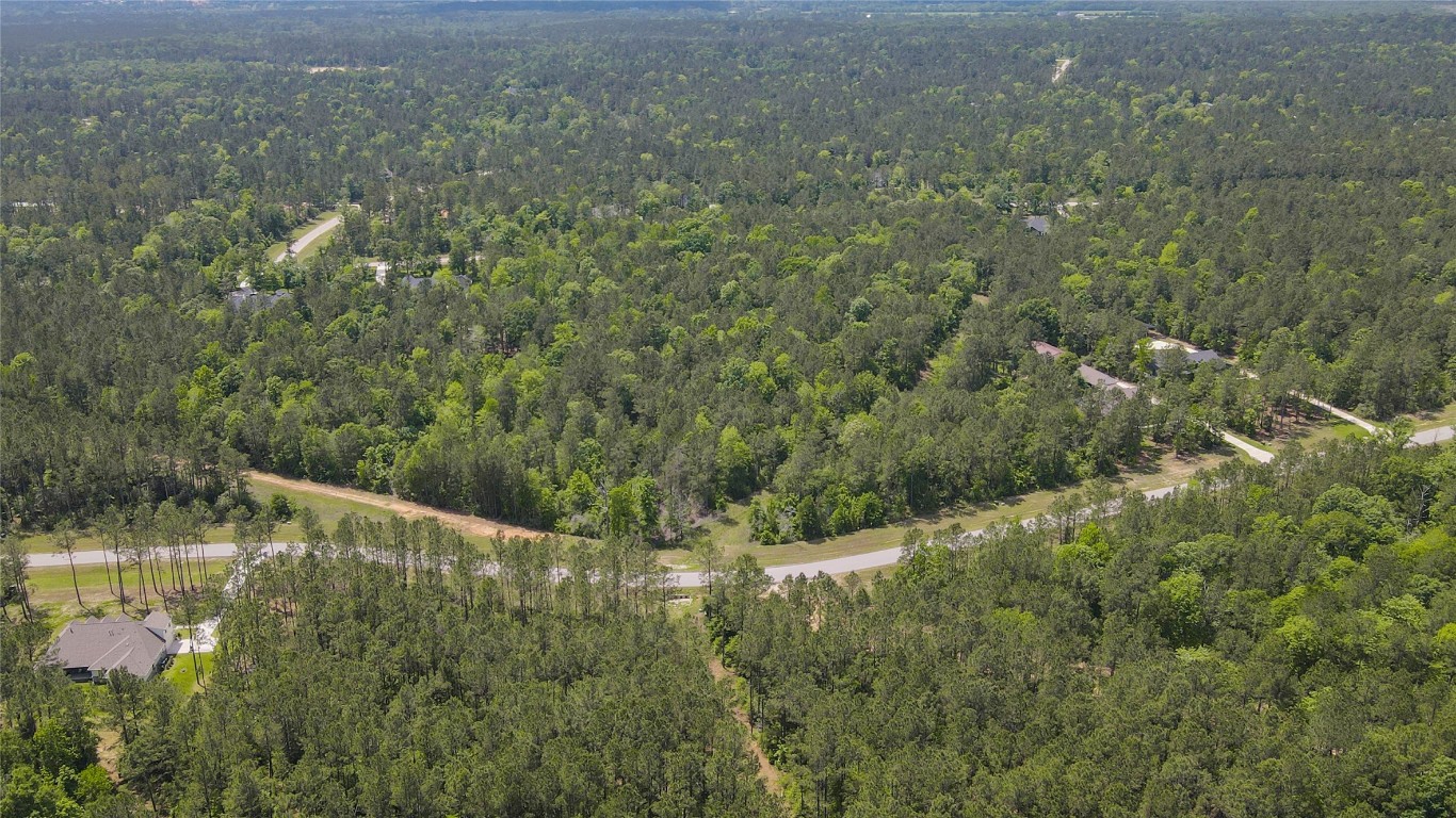 10774 Ruger Road Willis, TX 77378 - Photo 23 of 33 a view of a forest with a lake