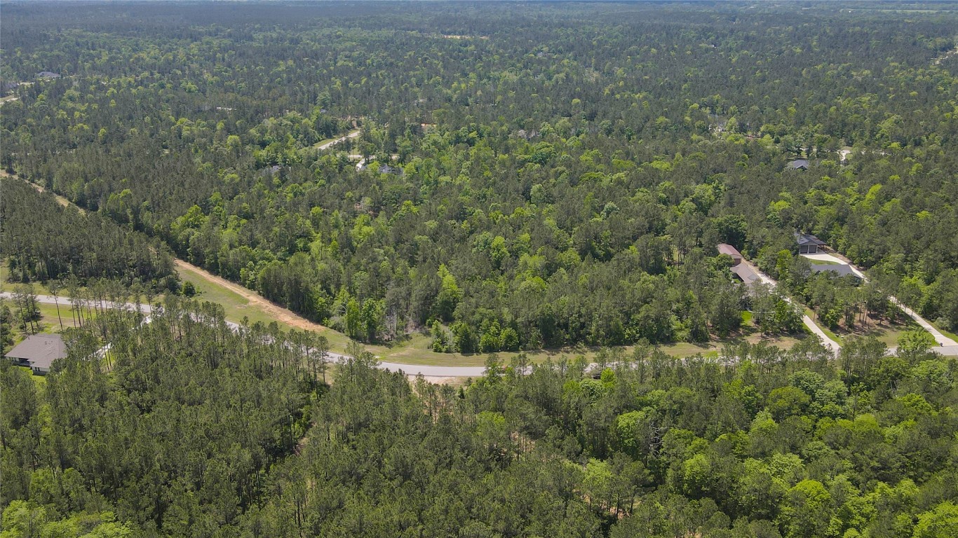 10774 Ruger Road Willis, TX 77378 - Photo 24 of 33 a view of a forest with a lake