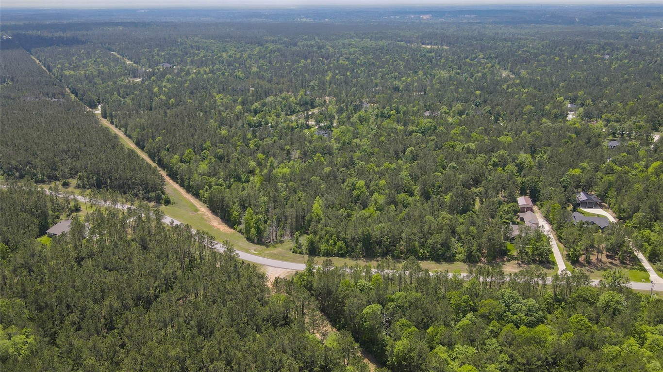 10774 Ruger Road Willis, TX 77378 - Photo 25 of 33 a view of a city from a mountain