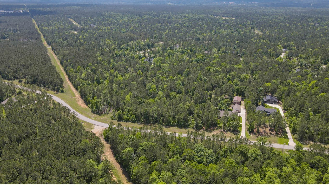 10774 Ruger Road Willis, TX 77378 - Photo 26 of 33 an aerial view of residential houses with outdoor space and trees