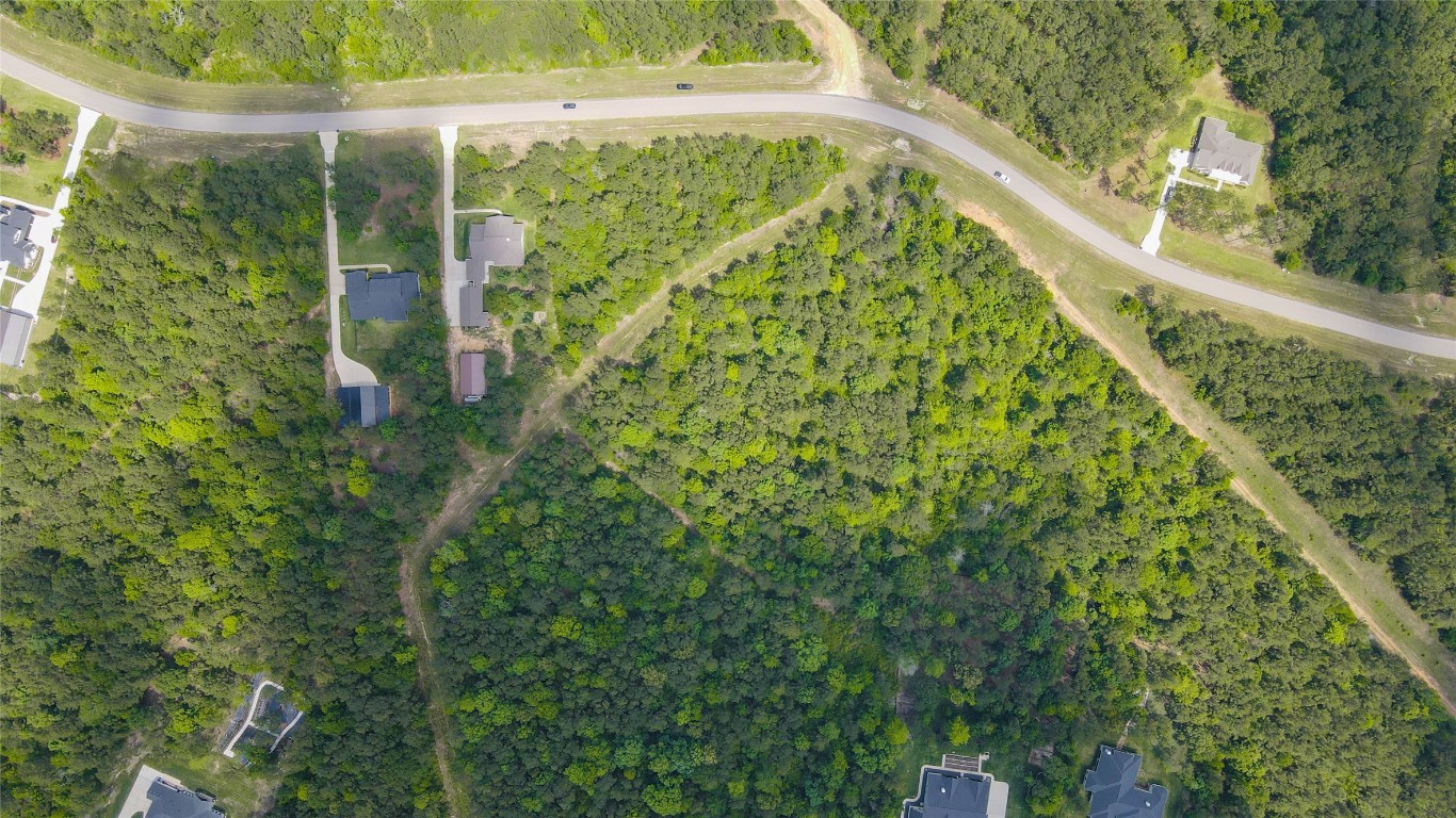 10774 Ruger Road Willis, TX 77378 - Photo 28 of 33 a bird view of a garden
