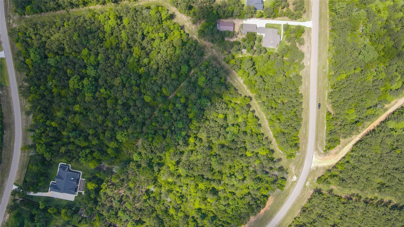 10774 Ruger Road Willis, TX 77378 - Photo 29 of 33 a view of a yard with plants