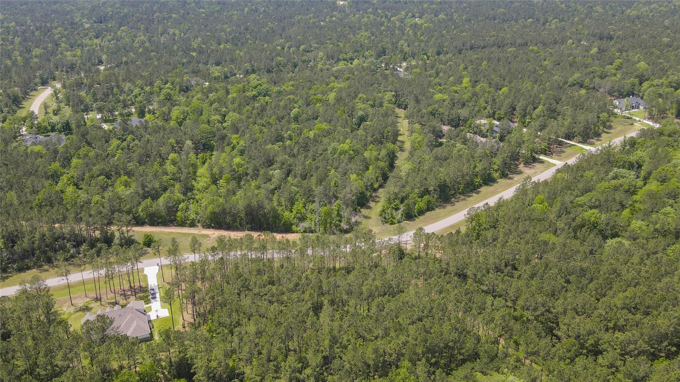 10774 Ruger Road Willis, TX 77378 - Photo 30 of 33 a view of a forest with a yard