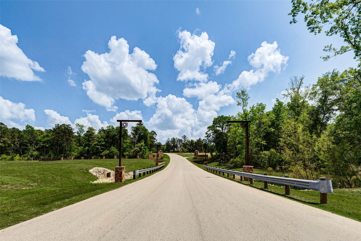 10774 Ruger Road Willis, TX 77378 - Photo 4 of 33 a view of a garden