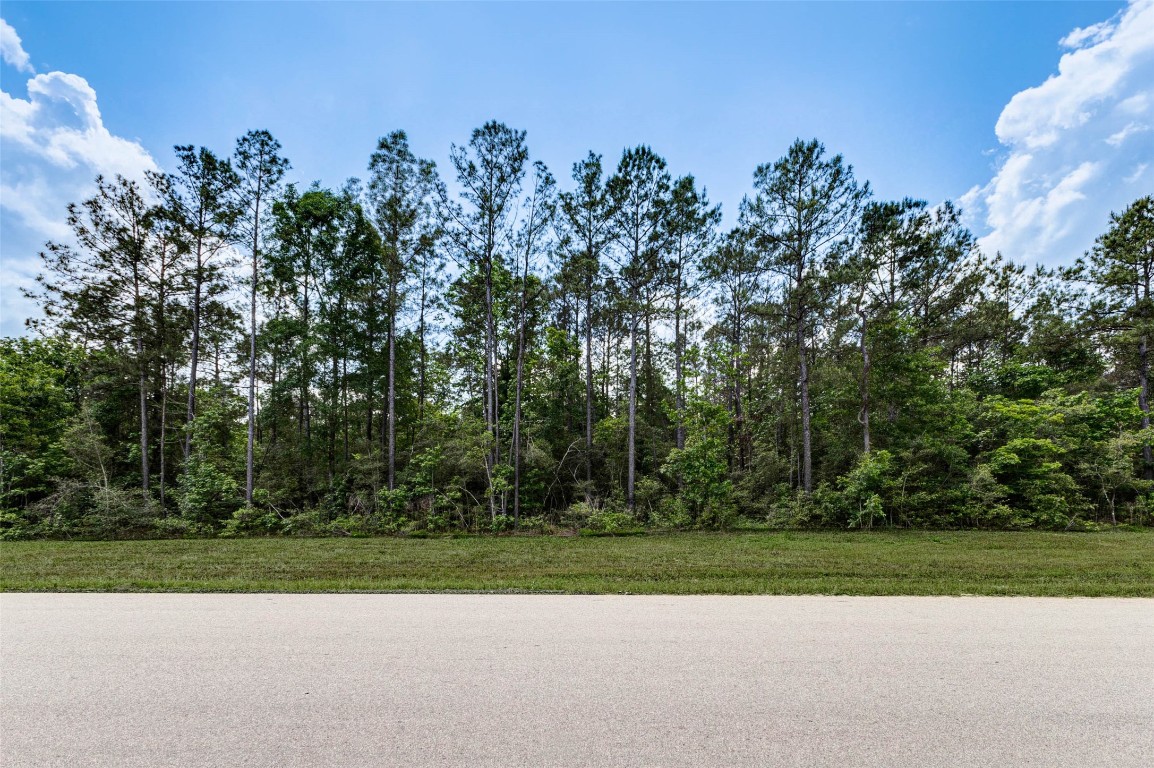 10774 Ruger Road Willis, TX 77378 - Photo 5 of 33