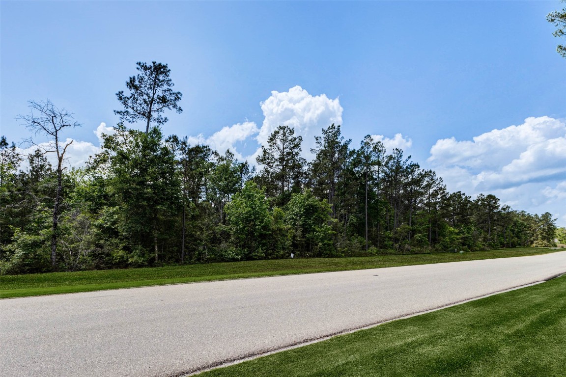 10774 Ruger Road Willis, TX 77378 - Photo 6 of 33 a view of a house with a flower garden