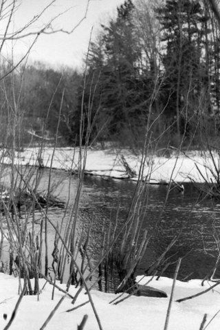 Brooks Road Fruitport, MI 49415 - Photo 12 of 13 12