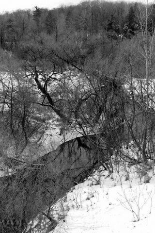 Brooks Road Fruitport, MI 49415 - Photo 13 of 13 13