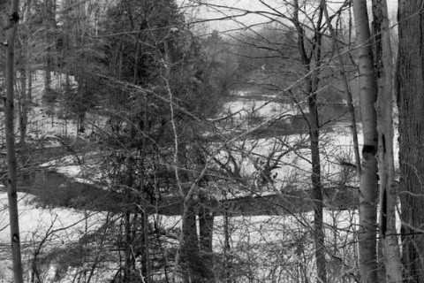 Brooks Road Fruitport, MI 49415 - Photo 7 of 13 6