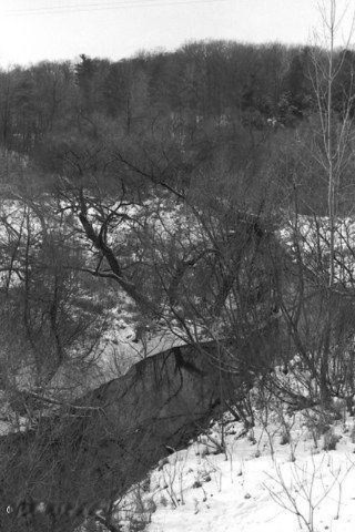 Brooks Road Fruitport, MI 49415 - Photo 8 of 13 7