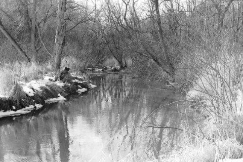 Brooks Road Fruitport, MI 49415 - Photo 10 of 13 9