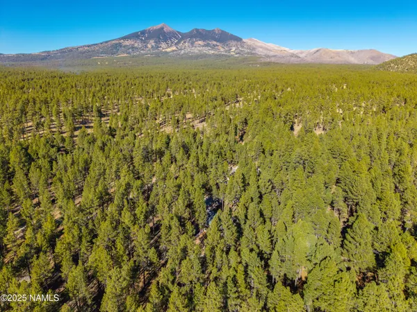 $3,000,000 | 2750 Forest Hills Drive, Flagstaff, AZ 86001