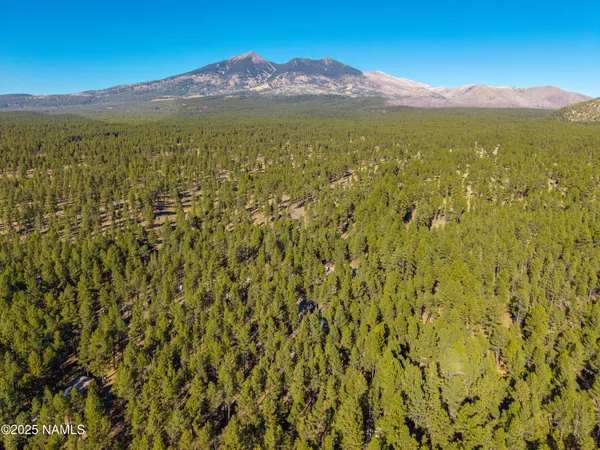 $3,000,000 | 2750 Forest Hills Drive, Flagstaff, AZ 86001