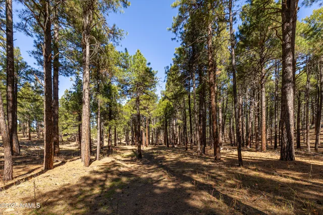 $3,000,000 | 2750 Forest Hills Drive, Flagstaff, AZ 86001