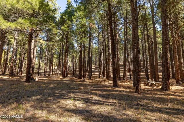 $3,000,000 | 2750 Forest Hills Drive, Flagstaff, AZ 86001
