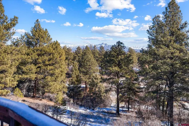 a view of a tree with a tree in the background