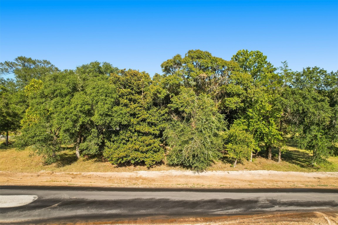 18248 Woodstream Crossing Road Montgomery, TX 77316 - Photo 2 of 8 a view of a house with a street
