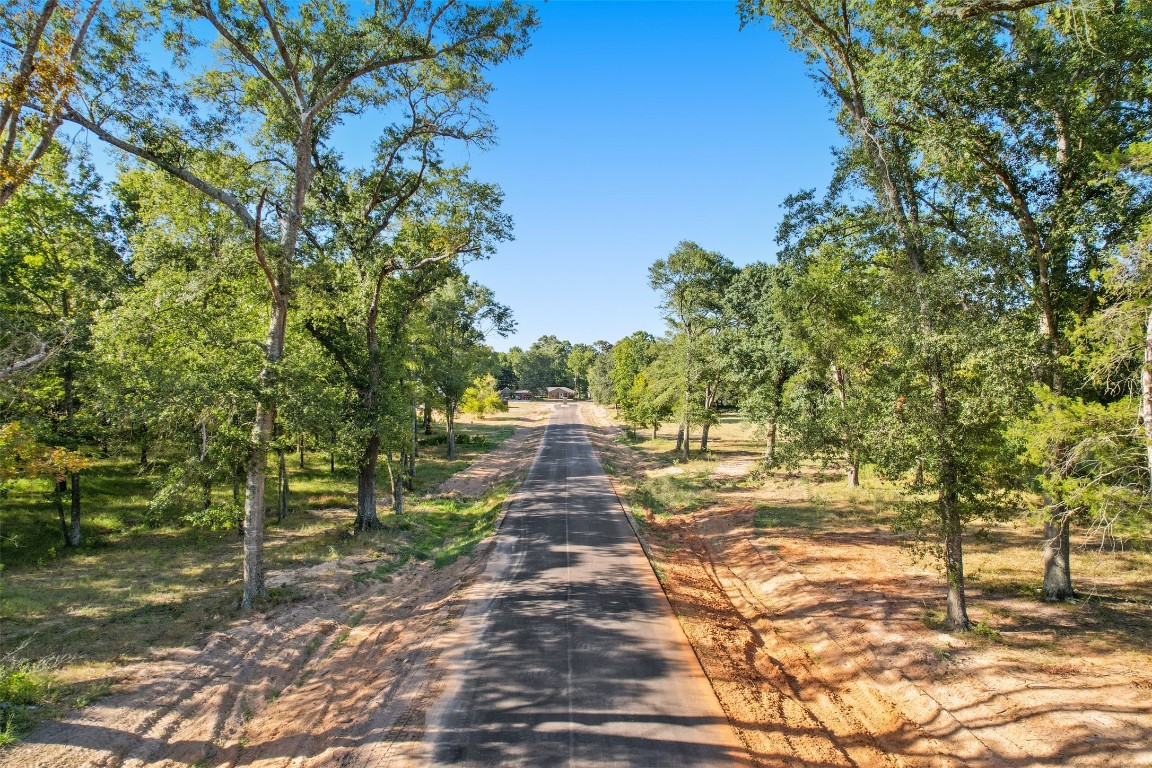 18248 Woodstream Crossing Road Montgomery, TX 77316 - Photo 4 of 8 a view of a yard with trees