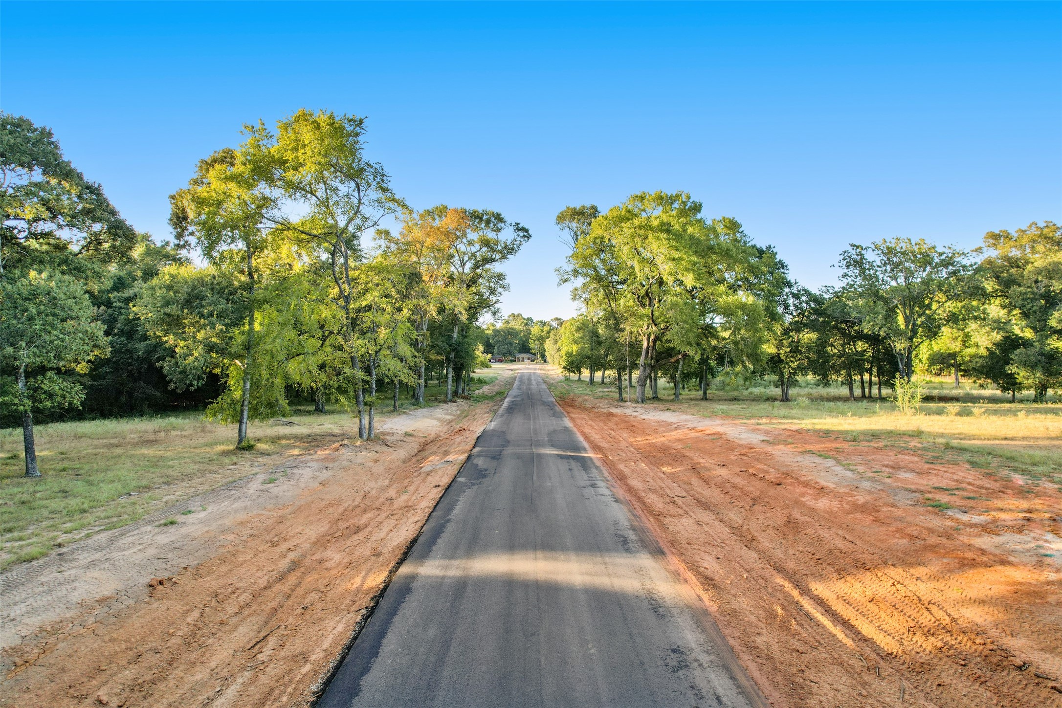 18248 Woodstream Crossing Road Montgomery, TX 77316 - Photo 5 of 8 a view of a backyard