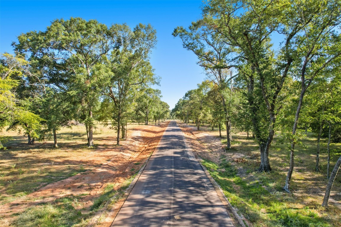18248 Woodstream Crossing Road Montgomery, TX 77316 - Photo 6 of 8 a view of a street with a tree