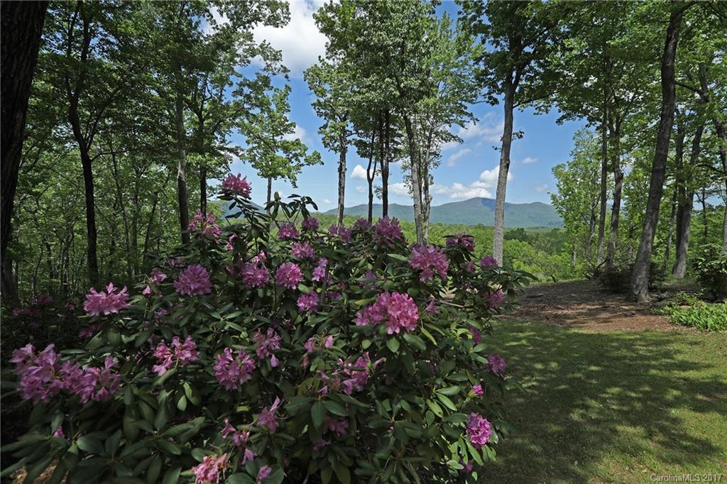 222 Grey Fox Lane Tryon, NC 28782 - Photo 21 of 24 Gallery Image 21