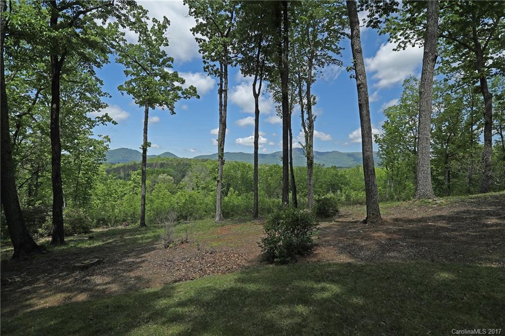 222 Grey Fox Lane Tryon, NC 28782 - Photo 22 of 24 Gallery Image 22