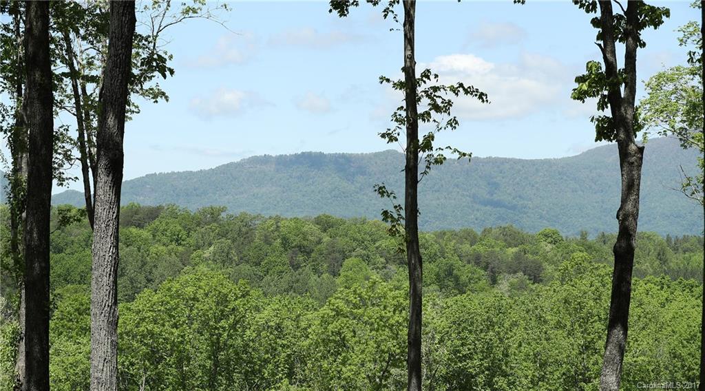 222 Grey Fox Lane Tryon, NC 28782 - Photo 23 of 24 Gallery Image 23