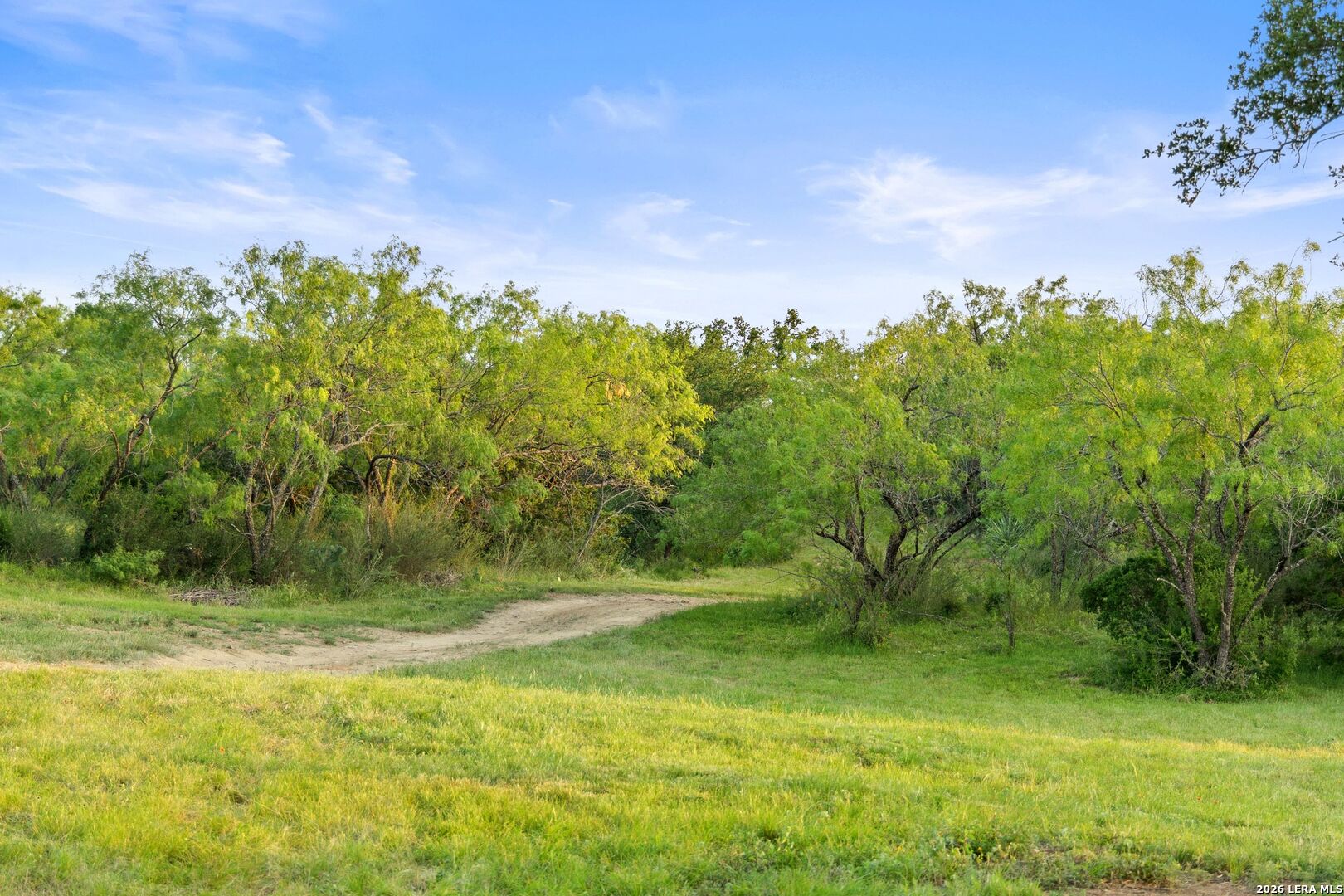 3402 Mormon Mill Road Marble Falls, TX 78654 - Photo 15 of 29 a backyard of a house with lots of green space