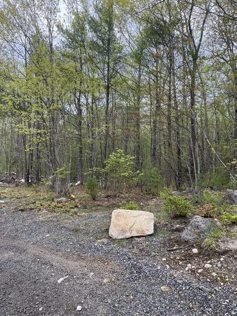 image1 (2)
