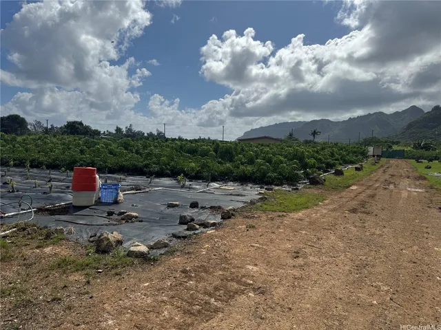 a view of a yard with a bench