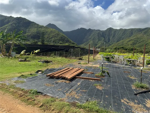 a view of a lush green hillside and houses