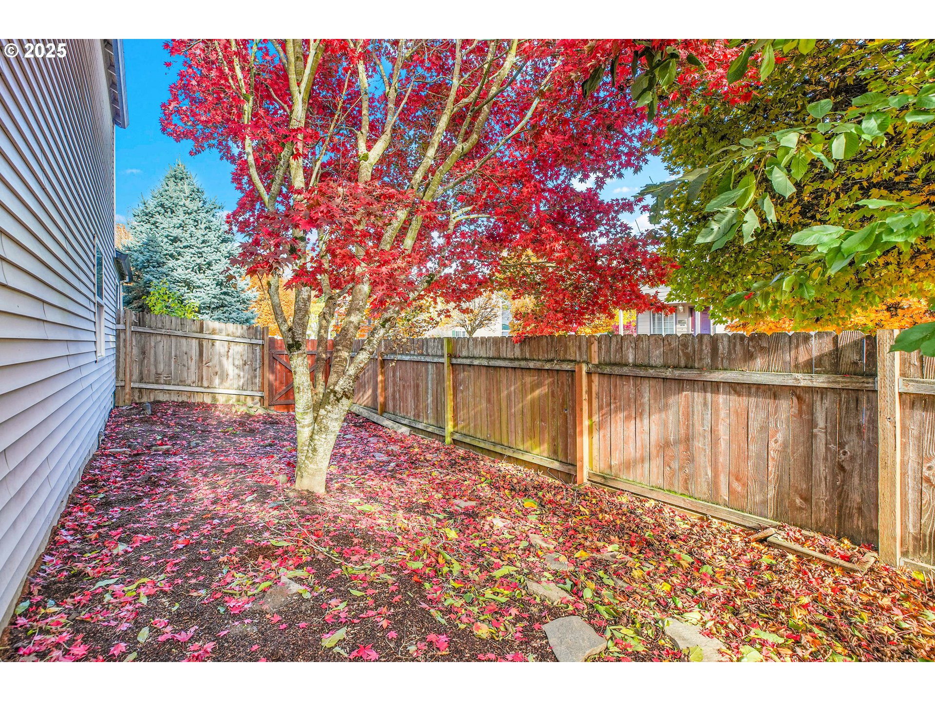 16916 Southwest Whitley Way Beaverton, OR 97006 - Photo 39 of 39