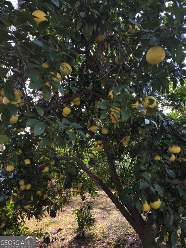 511 West Smith Street Claxton, GA 30417 - Photo 51 of 56