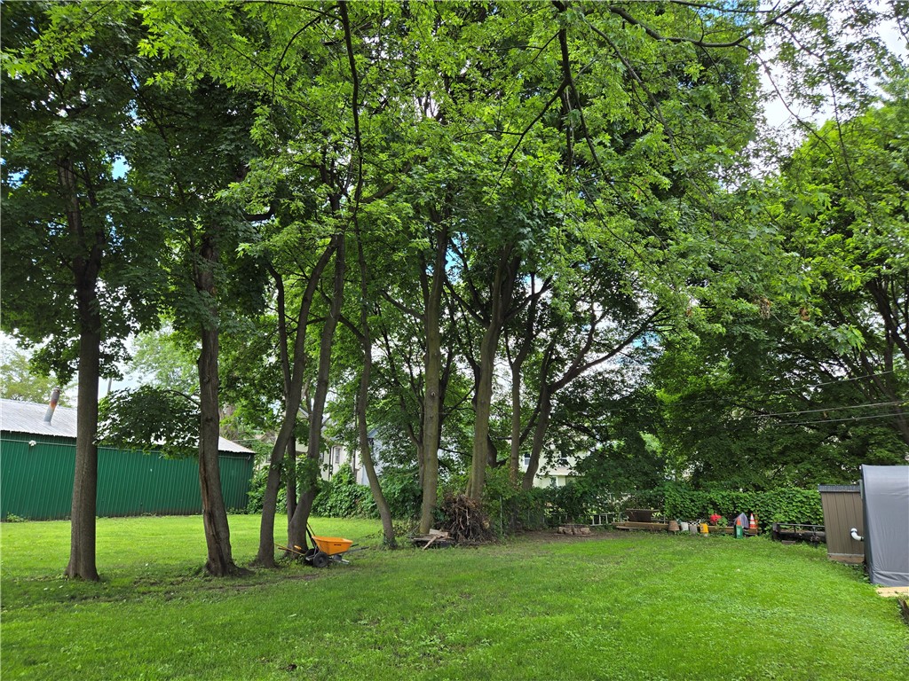 695-697 Culver Road Rochester, NY 14609 - Photo 48 of 50 The additional side lot is a terrific green space.