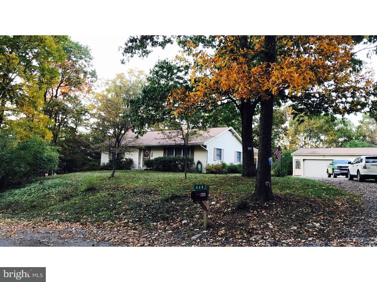 Front Yard