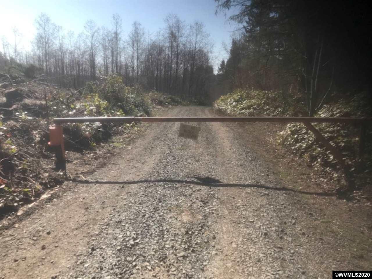 Northwest Smoke Ranch Road Scappoose, OR 97056 - Photo 8 of 10