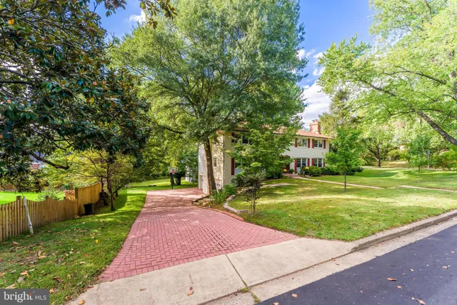 a view of a park with large trees